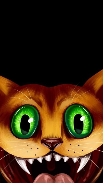 Crazy Cat iPhone Wallpaper