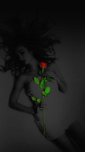 Girl with Rose iPhone Wallpaper