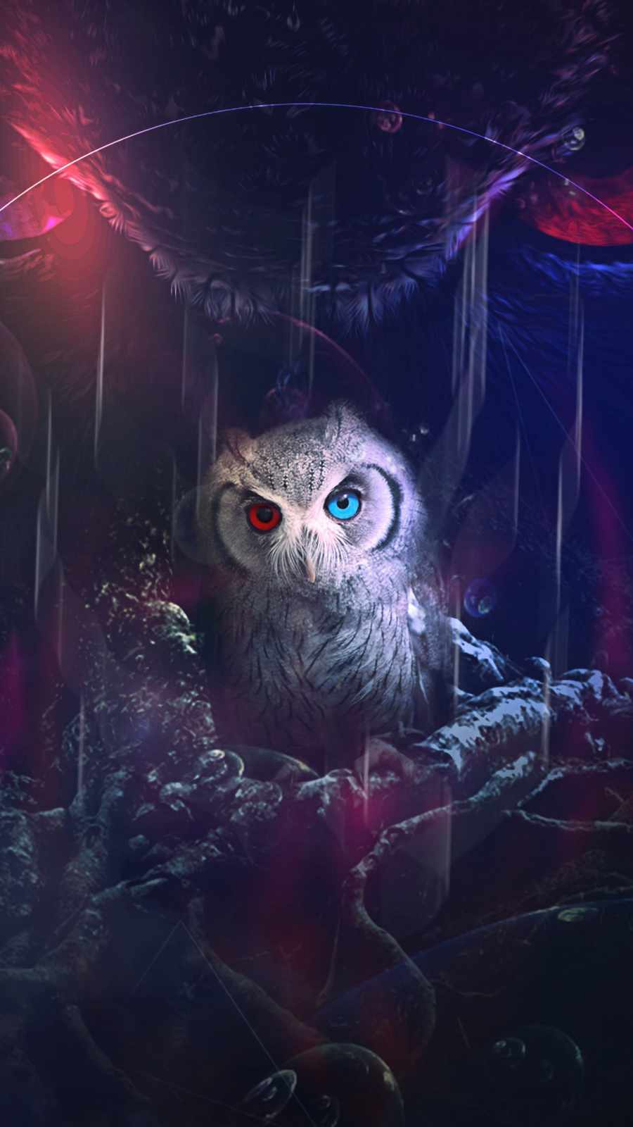Heterochromic Owl iPhone Wallpaper