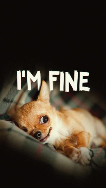 I am Fine iPhone Wallpaper