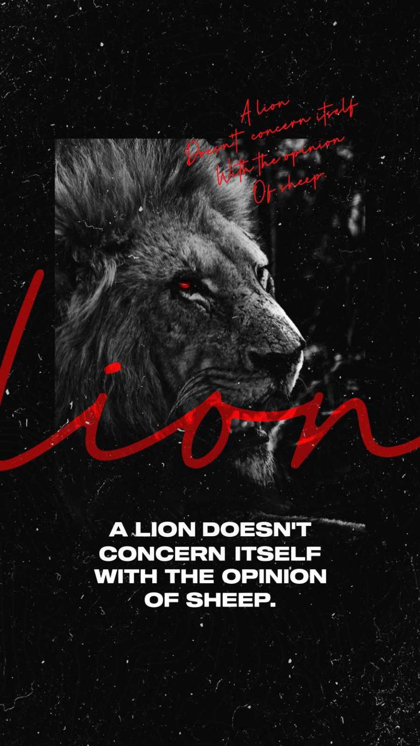Lion Quote iPhone Wallpaper iPhone Wallpapers