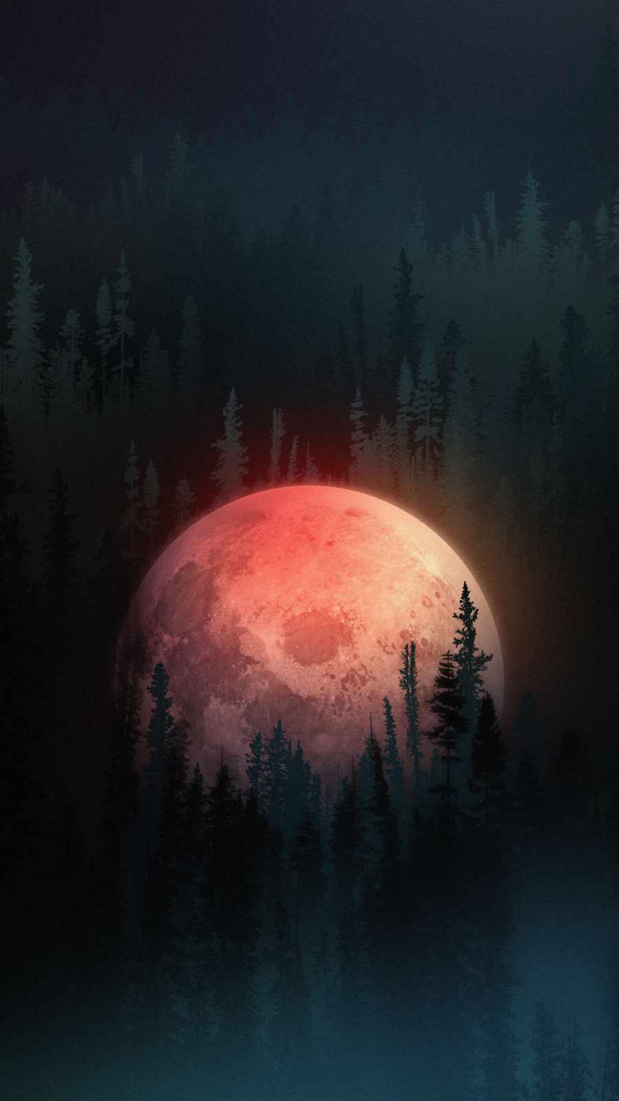 Moon in Forest iPhone Wallpaper