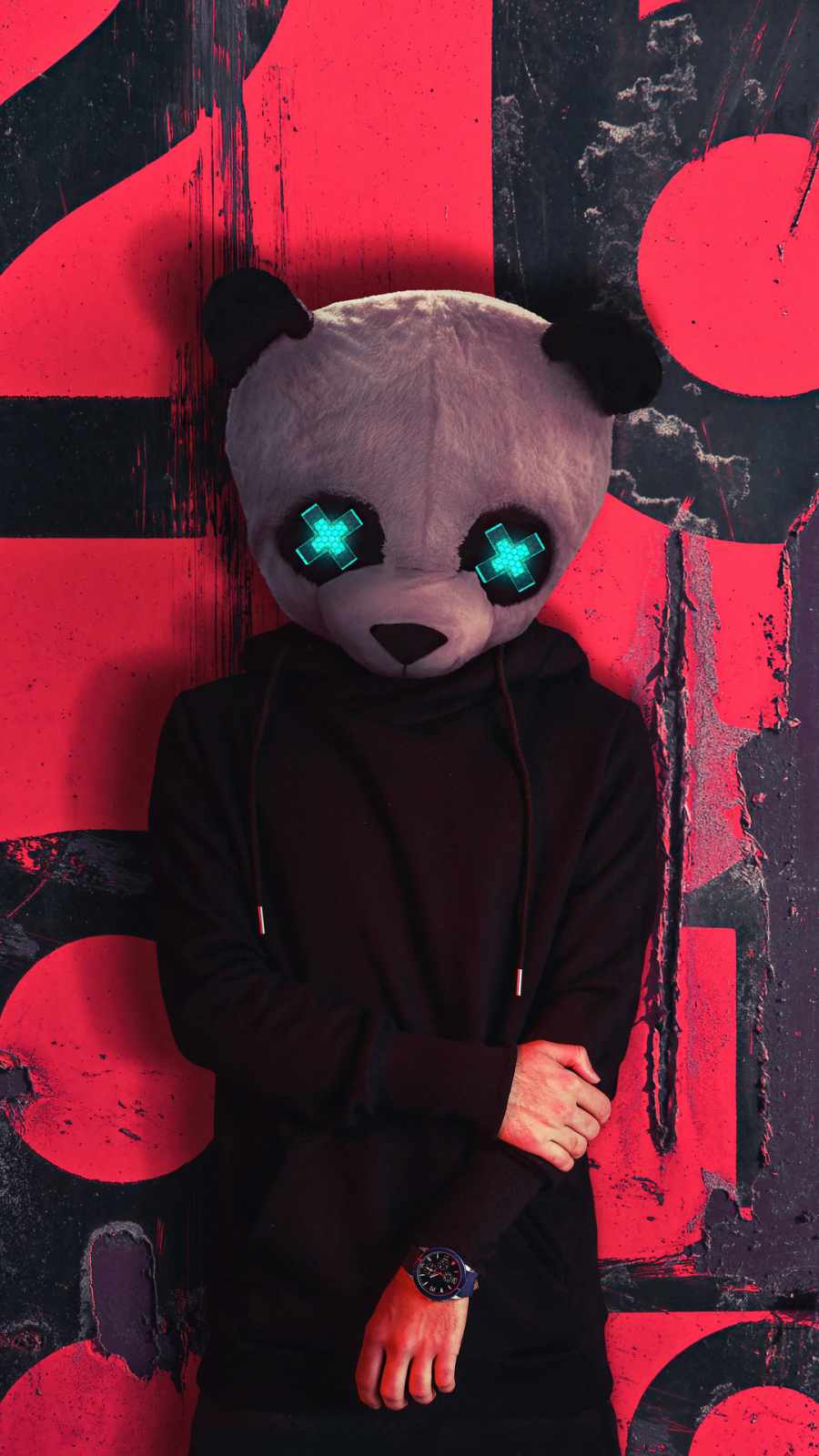 Panda mask boy iPhone Wallpaper