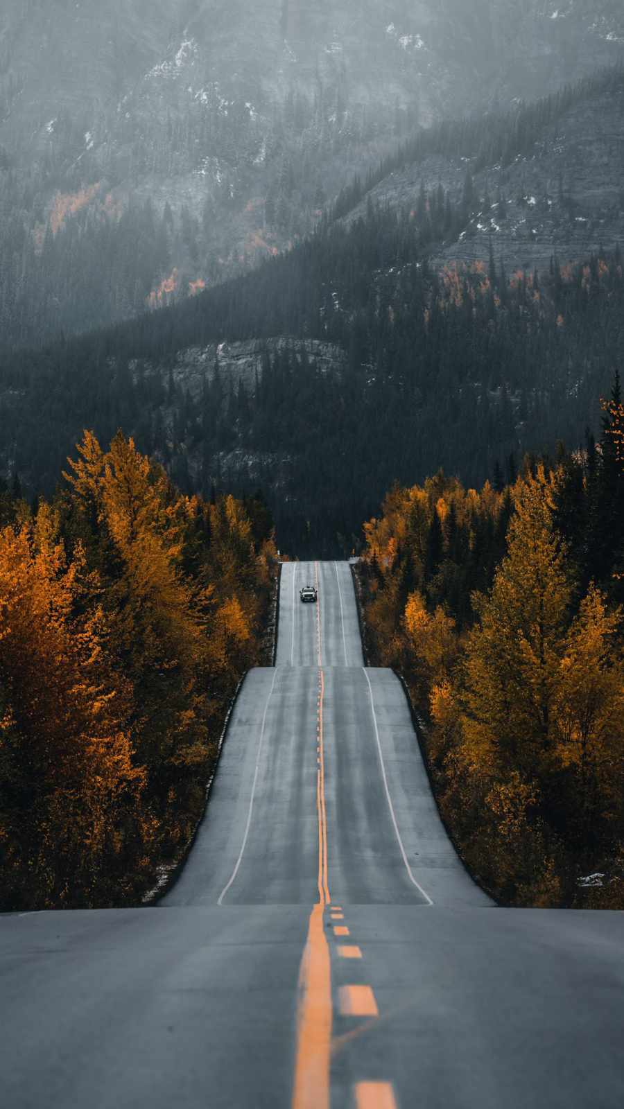 Road to Nature Autumn iPhone Wallpaper