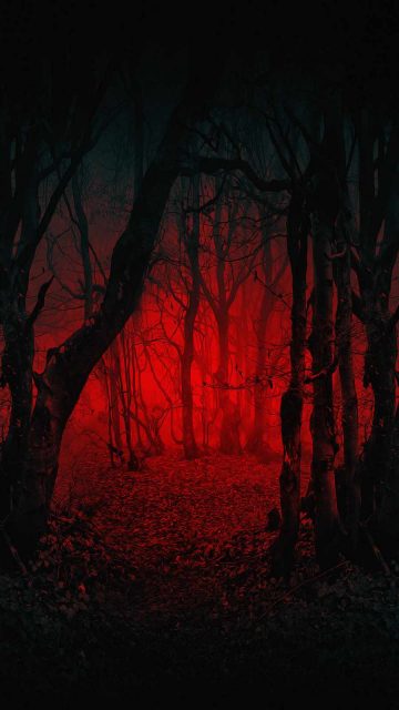 Scary Forest iPhone Wallpaper