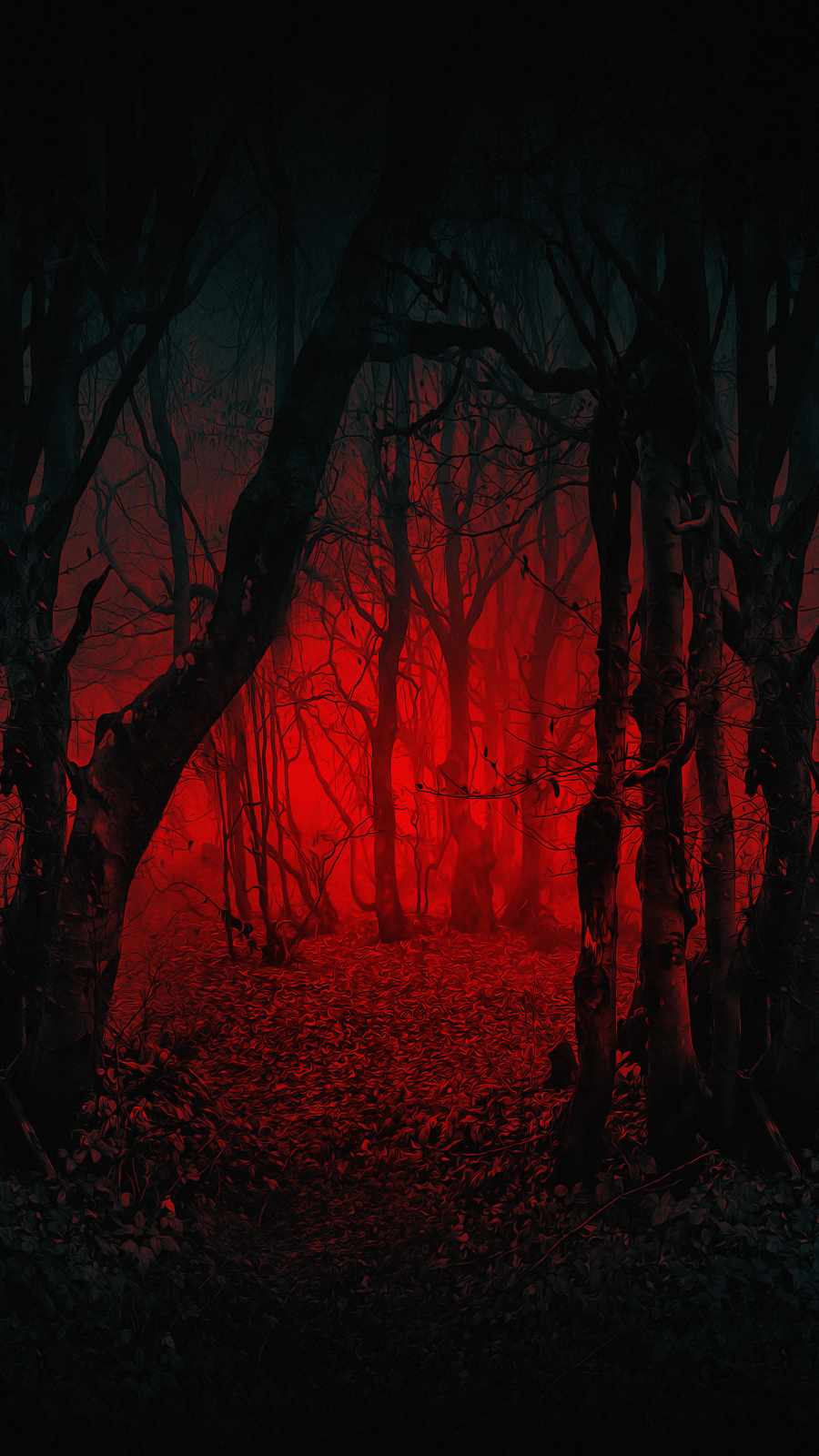 Scary Forest IPhone Wallpaper - IPhone Wallpapers : iPhone Wallpapers