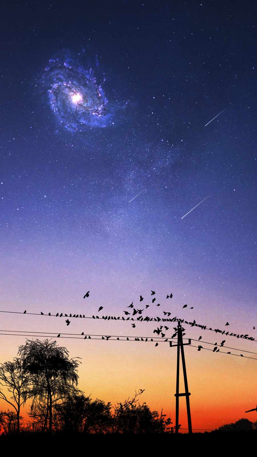 Silhouette Birds Galaxy View iPhone Wallpaper