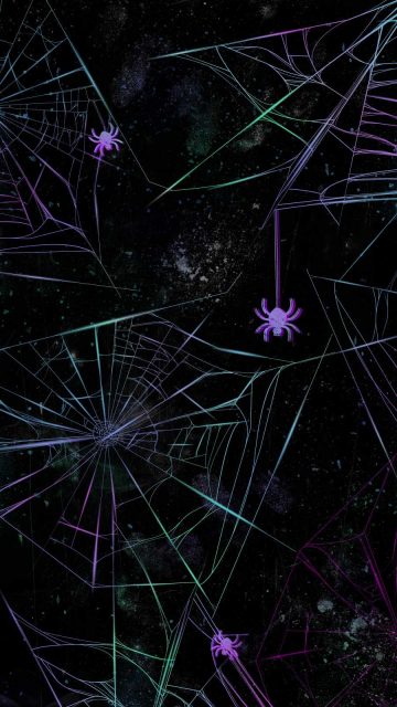 Spider Web iPhone Wallpaper