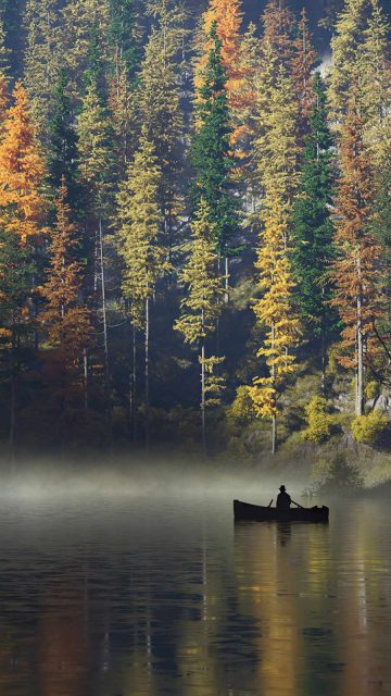 calm morning boat man iPhone Wallpaper