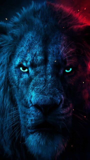 Alpha Lion iPhone Wallpaper