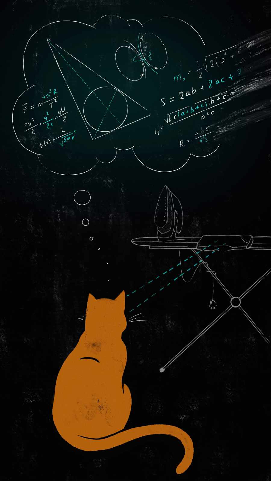Cat Calculation iPhone Wallpaper