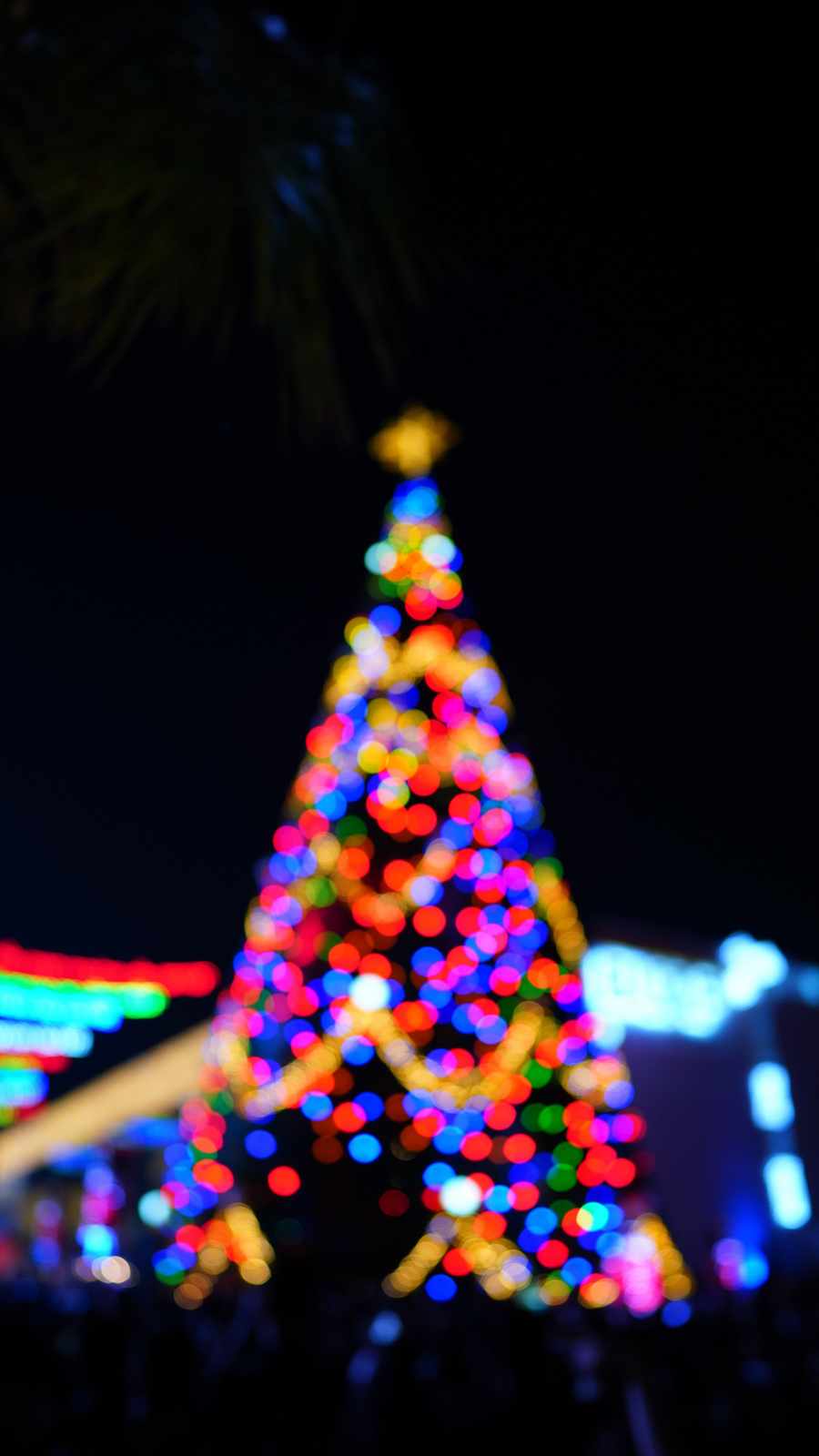 Christmas Tree Bokeh Night iPhone Wallpaper