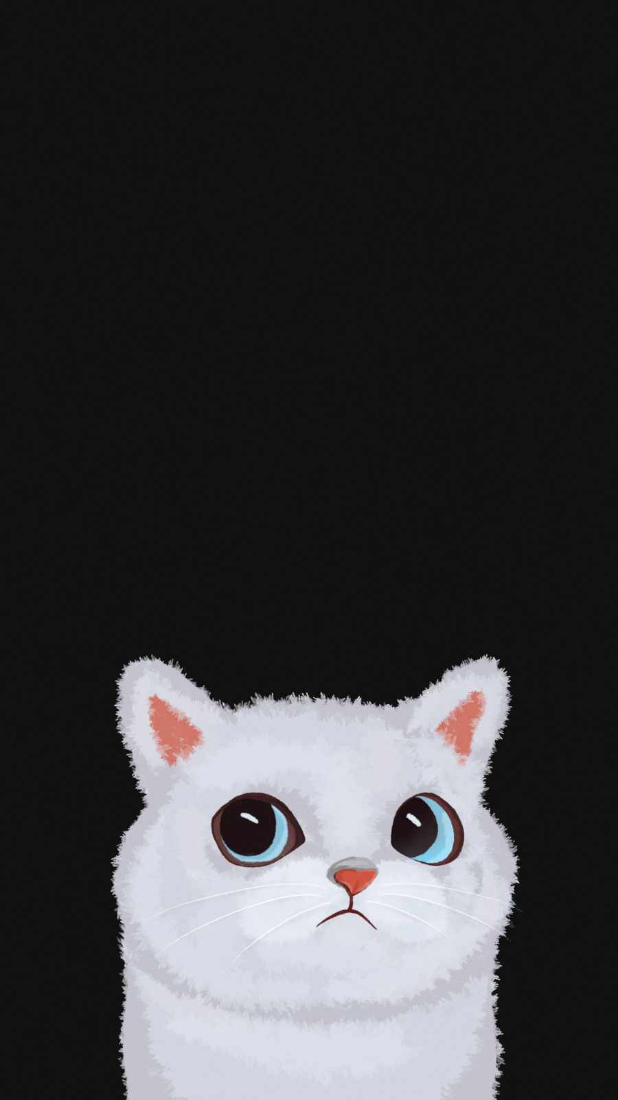 Cute White Cat iPhone Wallpaper