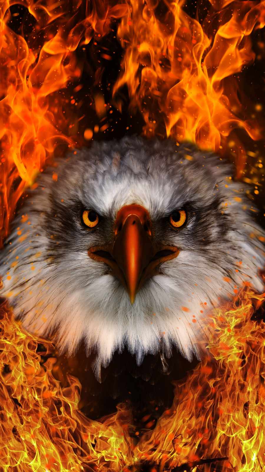 Eagle Fire iPhone Wallpaper