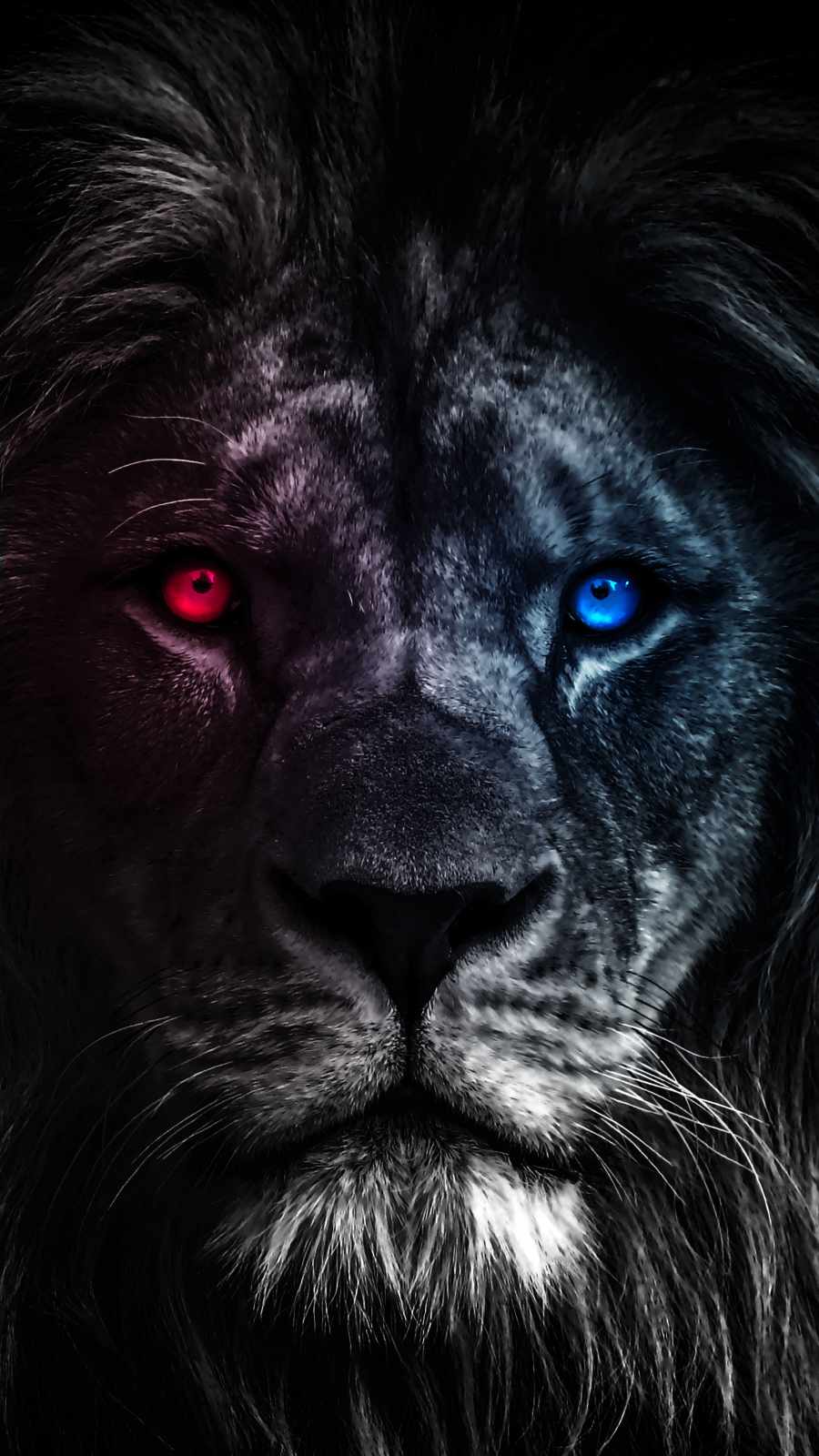 King Lion Eyes iPhone Wallpaper