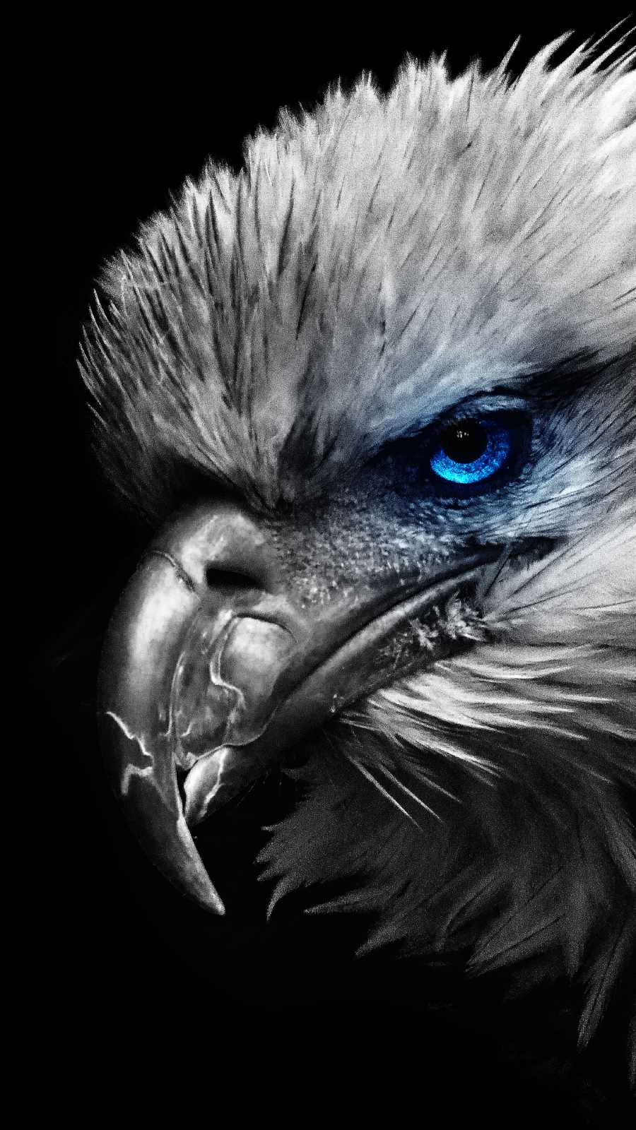 Old Eagle iPhone Wallpaper