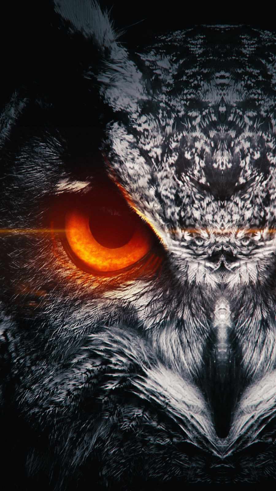 Owl Predator iPhone Wallpaper