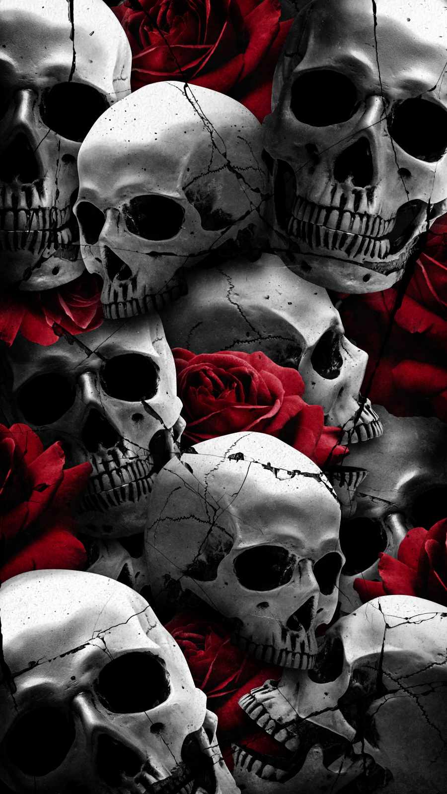 Rose Skulls iPhone Wallpaper