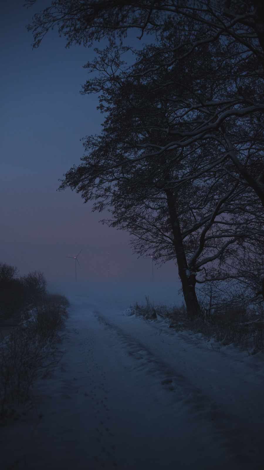 Winter Morning Mist iPhone Wallpaper
