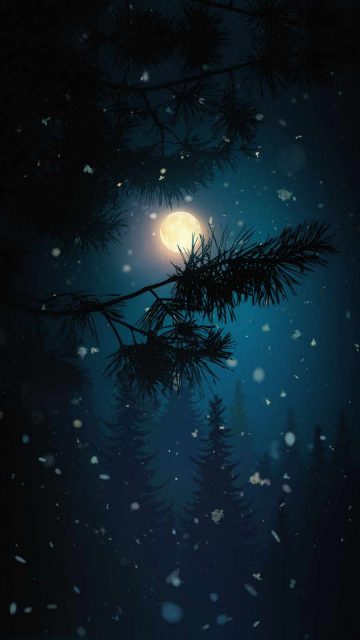 Winter Night iPhone Wallpaper