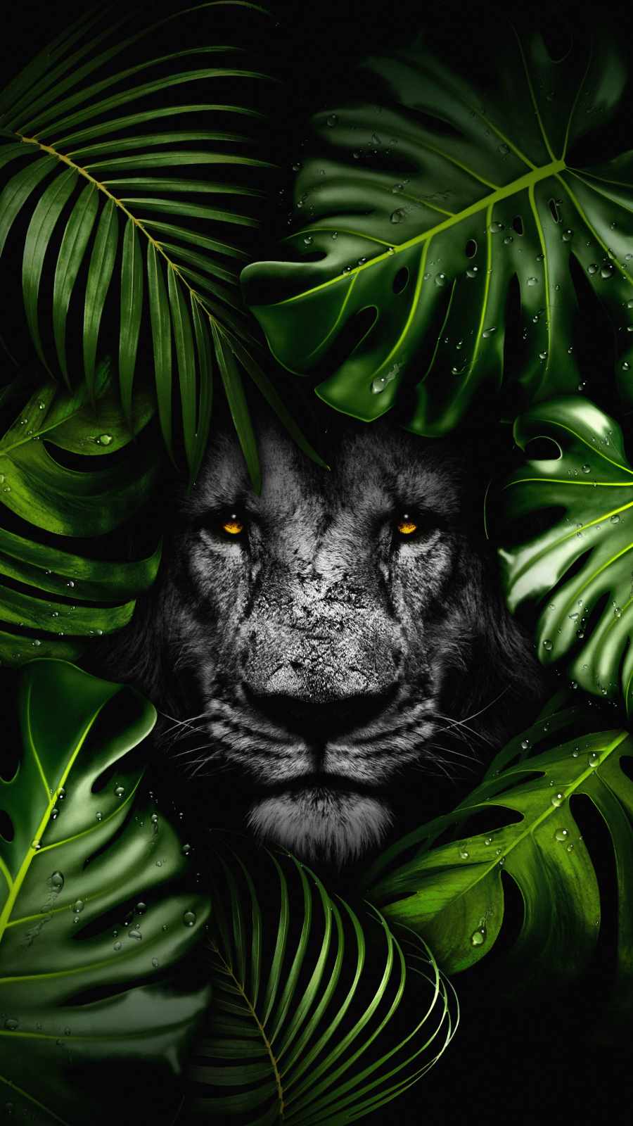 Forest Lion iPhone Wallpaper