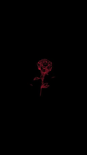 Love Rose iPhone Wallpaper