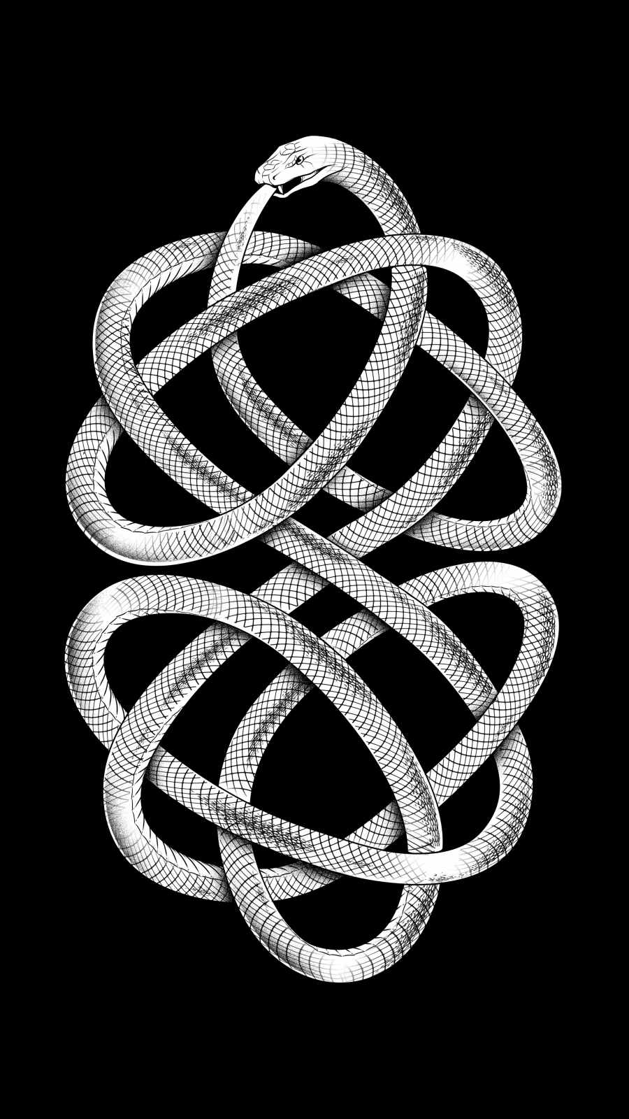 Snake Art iPhone Wallpaper