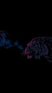 Angry Tiger in Dark iPhone Wallpaper