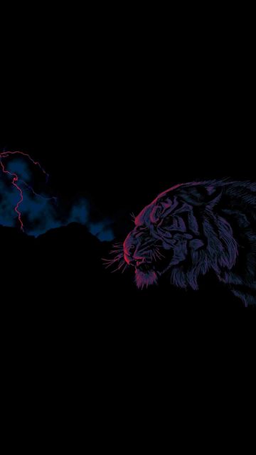 Angry Tiger in Dark iPhone Wallpaper
