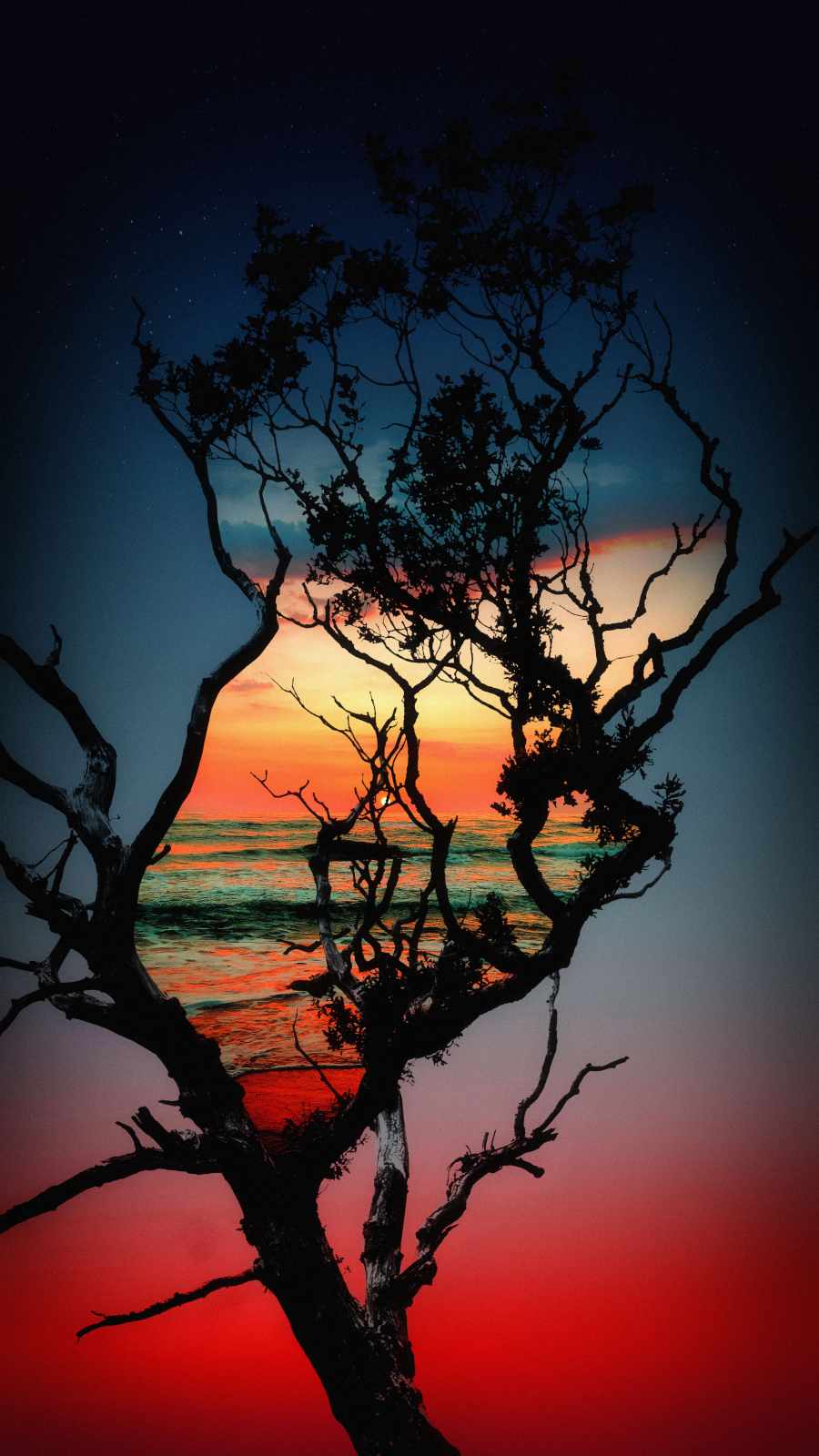 Beauty of Nature illusion iPhone Wallpaper