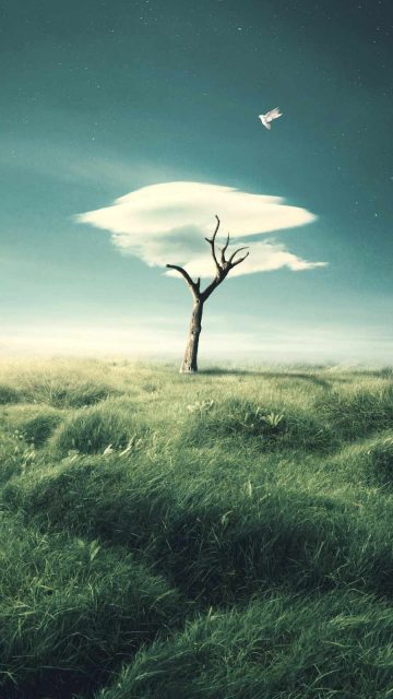 Cloud Tree iPhone Wallpaper