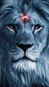 Darkness Lion iPhone Wallpaper