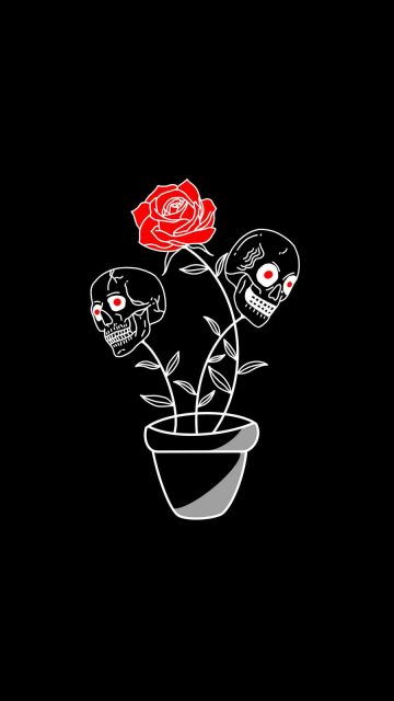 Dead Roses iPhone Wallpaper