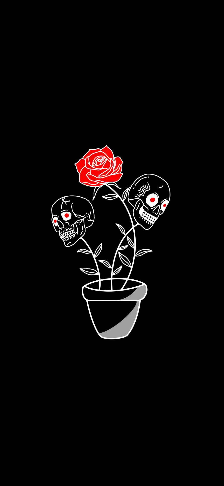 Dead Roses iPhone Wallpaper