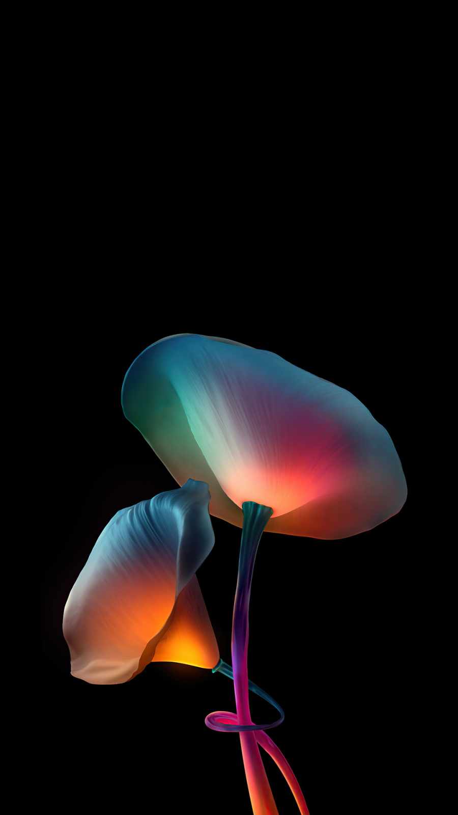 Flowers oled iPhone Wallpaper
