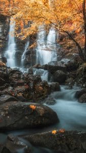 Foliage Waterfall iPhone Wallpaper