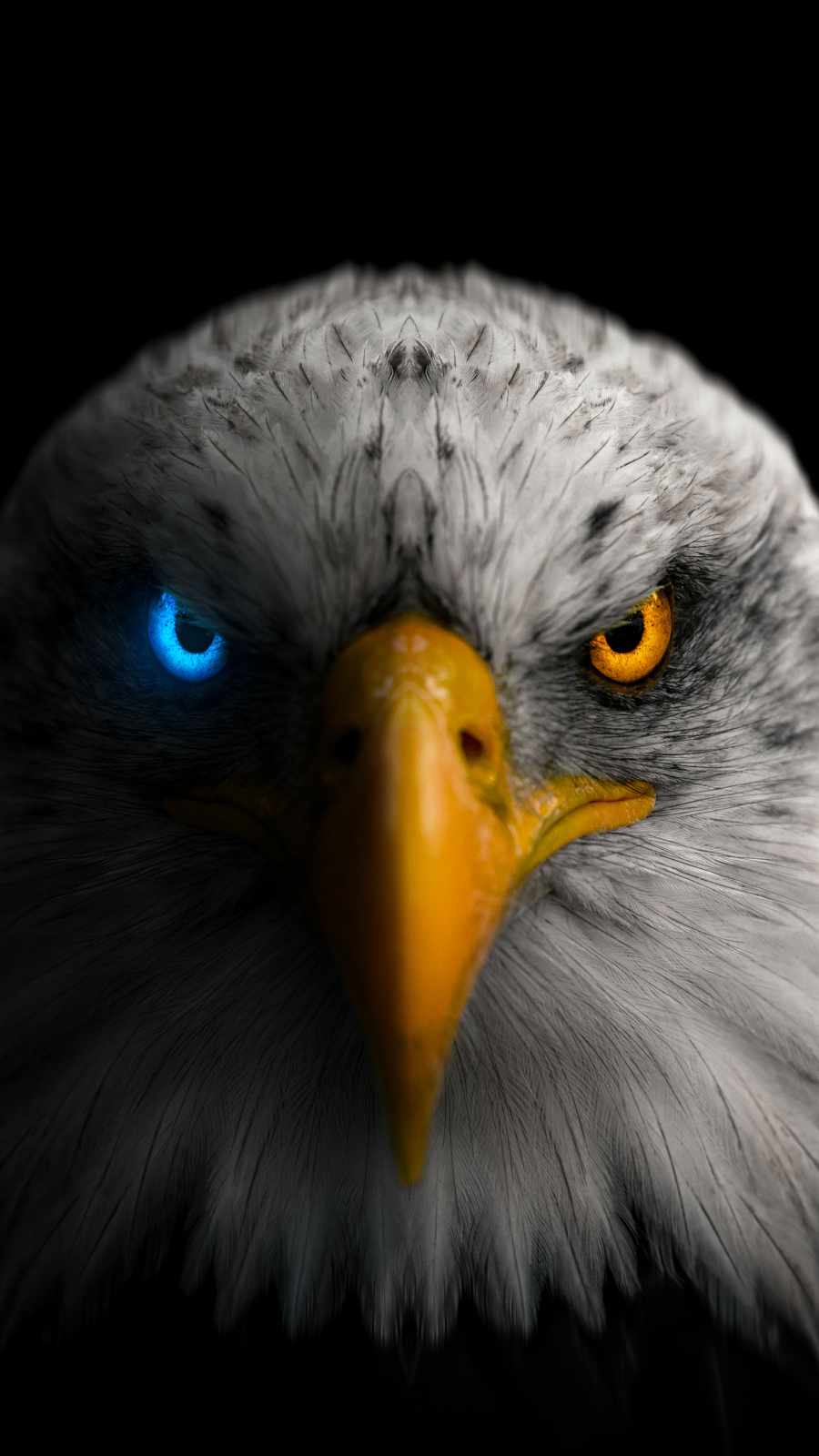 Golden Eagle Eyes iPhone Wallpaper