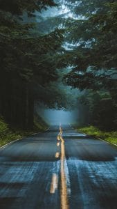 Green Road iPhone Wallpaper