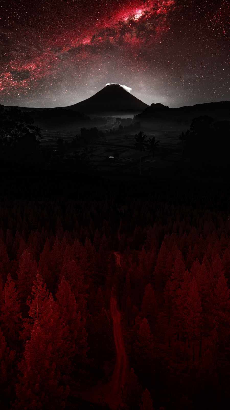 Mystic Forest iPhone Wallpaper