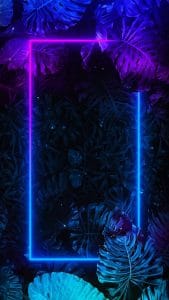 Neon Foliage Square iPhone Wallpaper