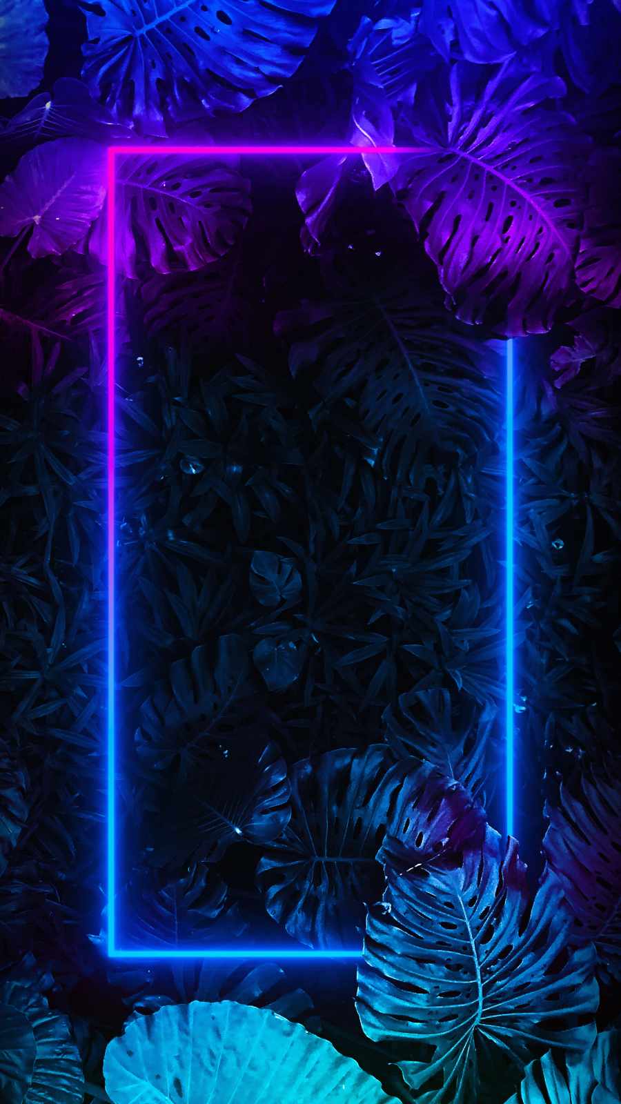 Neon Foliage Square iPhone Wallpaper