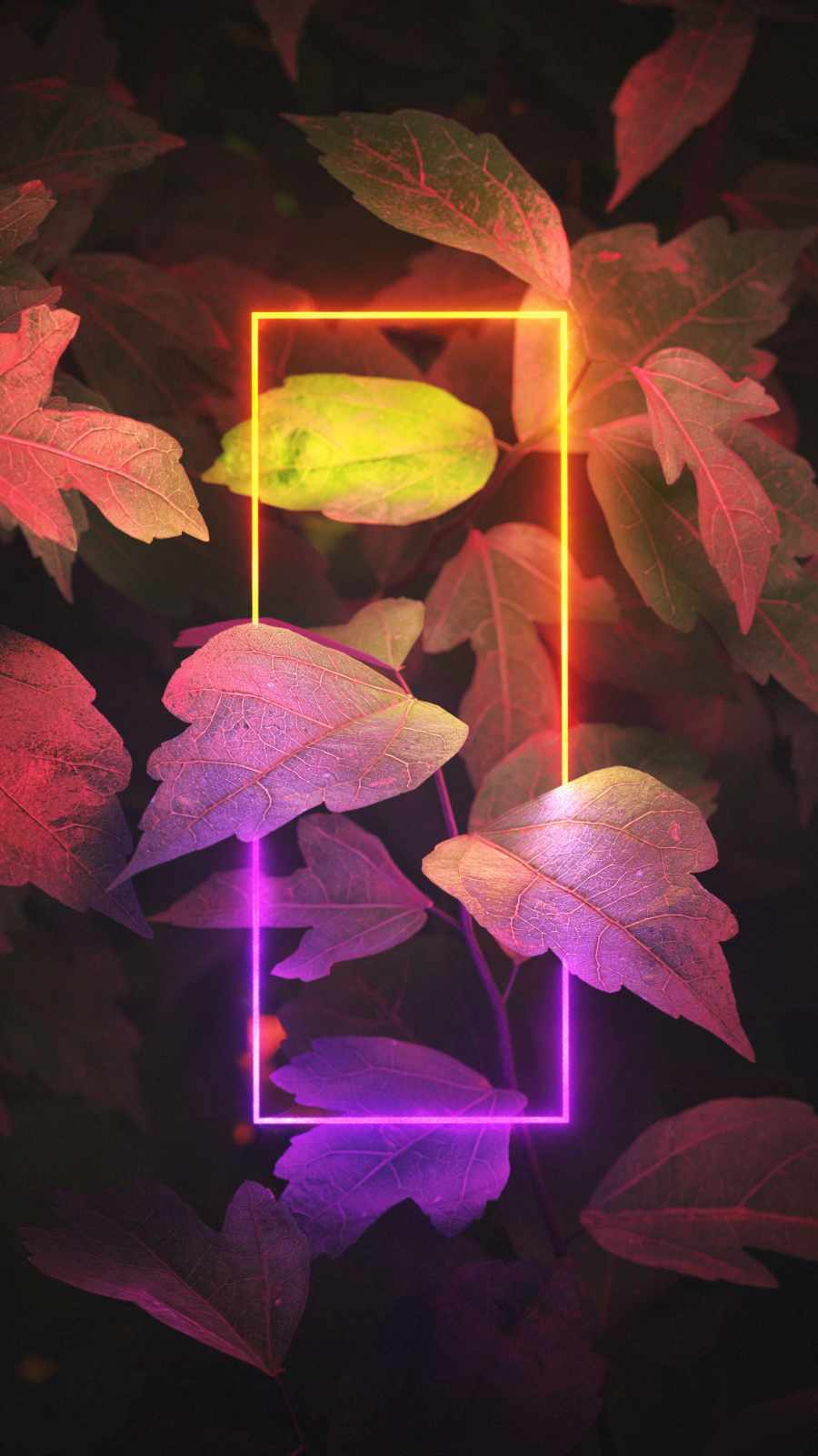 Neon Light Foliage iPhone Wallpaper