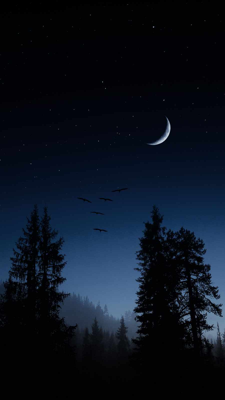 Night Forest Eclypse Moon iPhone Wallpaper