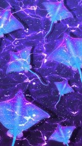 Ocean Ray iPhone Wallpaper