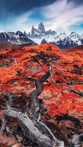 Patagonia iPhone Wallpaper