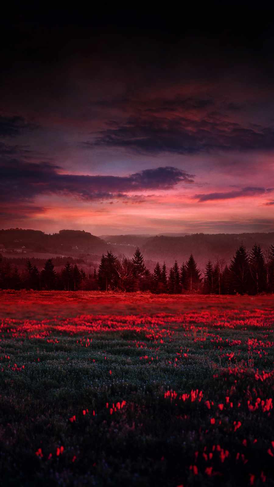 Red Fields Nature iPhone Wallpaper