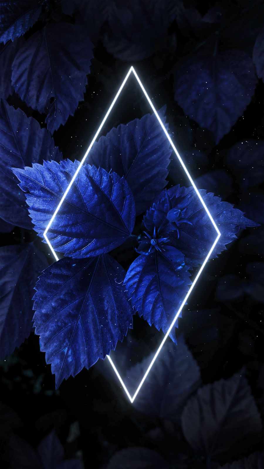 Rhombus Beon Blue Foliage iPhone Wallpaper