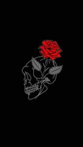 Rose Skull iPhone Wallpaper