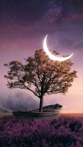 Take me home iPhone Wallpaper