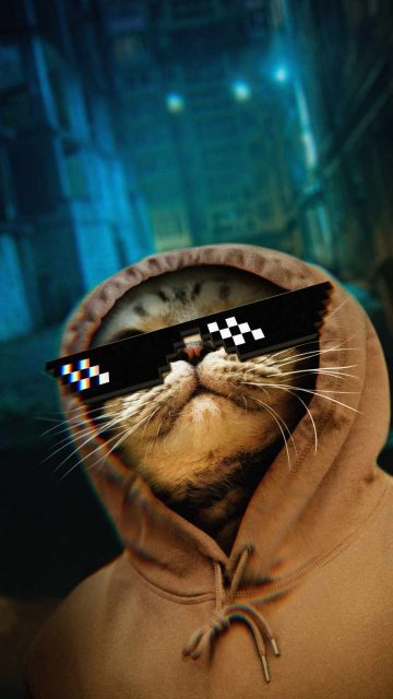 Thug Life Cat iPhone Wallpaper